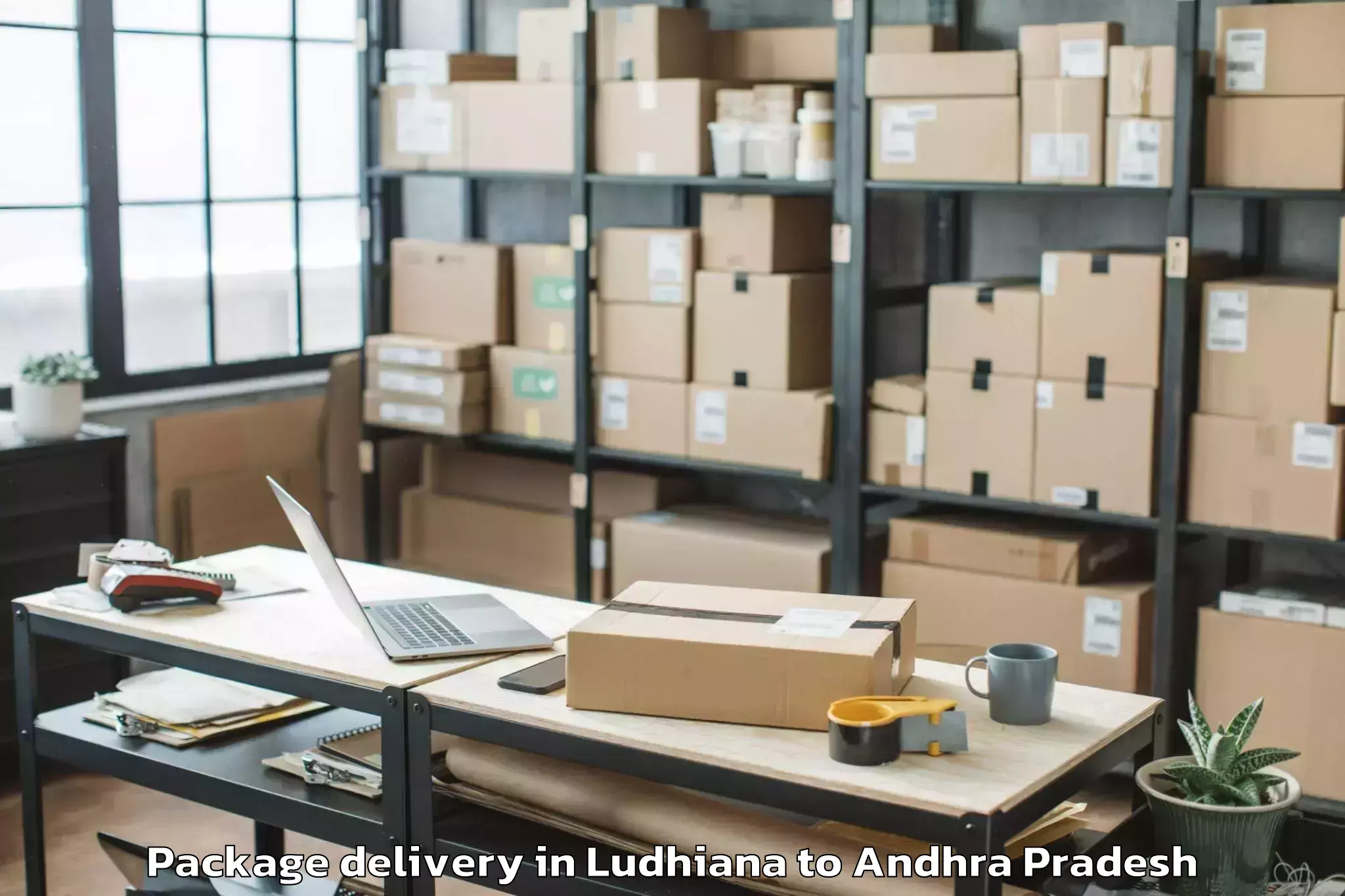 Ludhiana to Ongole Package Delivery Booking